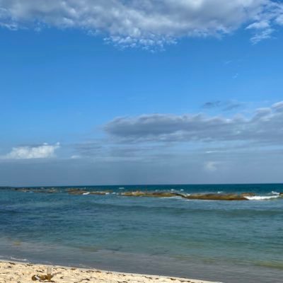 ali4liberty's profile picture. God first. Life, Liberty, & the pursuit of happiness. Informed Consent. Liberty over security. Medical Freedom. Stand today!