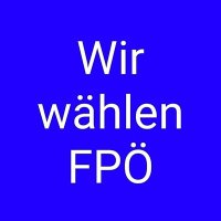 Wir Wählen FPÖ(@WirFpo) 's Twitter Profile Photo