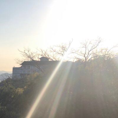 Raavai15285223's profile picture. あんまり呟かないよ、毎日開きはしてる〜/気軽に絡んで下さい👍