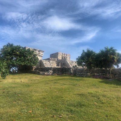 daphnegm81's profile picture. Vascular Surgeon