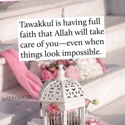 aishat221's profile picture. Muslimah ♥️♥️|Agrochemist👩‍🔬|Lover of justice ✌️