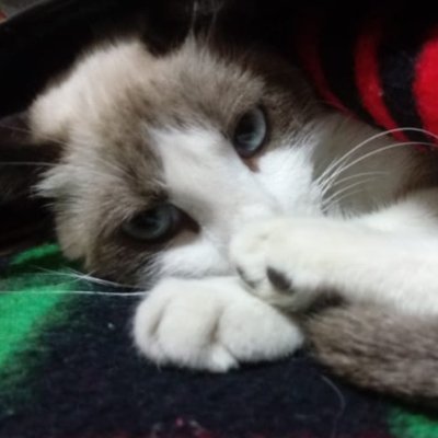 EscurraAndrea's profile picture. A estas alturas, ni yo sé lo que soy 😶