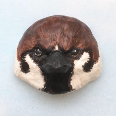 すきずきさんのプロフィール画像