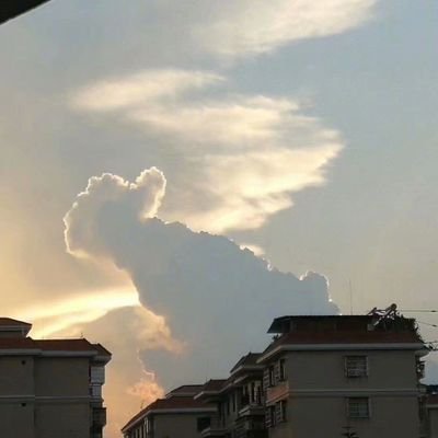 503HTTPError's profile picture. 