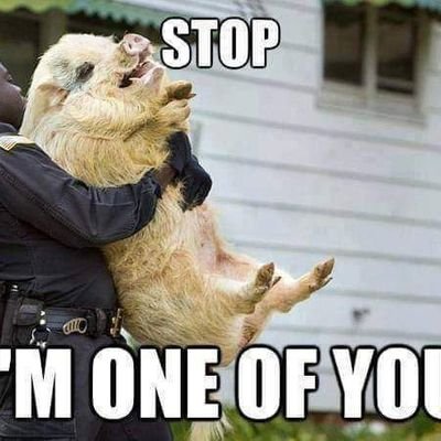 Chris12392612's profile picture. just a man. living the dream