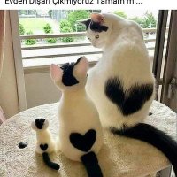 GamzeGökhan07@gmail.com (@gokhan07gamze) Twitter profile photo