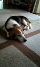 kieth_gt's profile picture. 