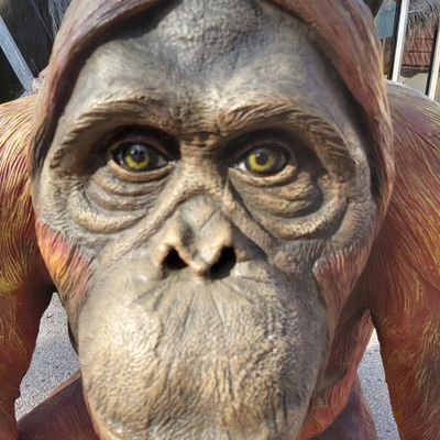 iR66ttPUKRBWh42's profile picture. ex cfii.