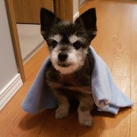 AnthonyJamesP1🇨🇦 Pray for Israel🇮🇱 Ukraine🇺🇦 (@anthonyjamesp1) 's Twitter Profile Photo AnthonyJamesP1🇨🇦 Pray for Israel🇮🇱 Ukraine🇺🇦 (@anthonyjamesp1) 's Twitter Profile Photo