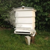 Blackham Beekeeper(@blackhambees) 's Twitter Profile Photo