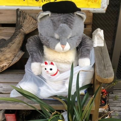 寿さんのプロフィール画像