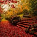 Dwight Leonard - @DwightLeonard8 - Twitter