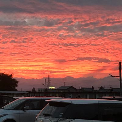 koheioto11121's profile picture. 大経大3回