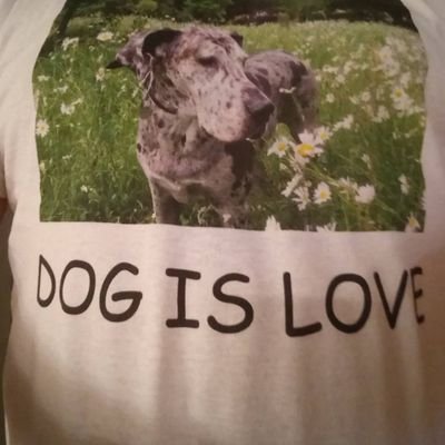 Dog is Love. I'm not dyslexic. Not a fan of self serving people i. e. anyone voting Tory. A citizen of the world first and foremost and a European. #FBPE 🇪🇺