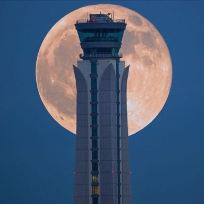 edoo16007's profile picture. ‏عماني وافتخر 🇴🇲 ‏‏‏‏مجنووون وعاشق للزعيم الملكي الهلالي💙👑..
مهتم بمعلومات الطيران،، مجال عملي،، ✈️..