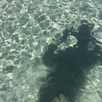 Claire Ahern (@eclaireah) 's Twitter Profile