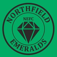 Northfields fc (@nefcdevelopment) 's Twitter Profile Photo