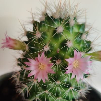 Dragana79059799's profile picture. 