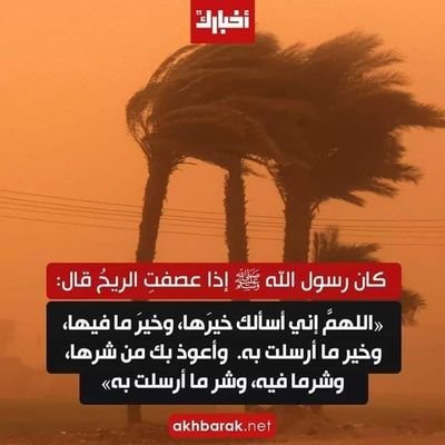 LXuq9aZFh2xARIs's profile picture. 