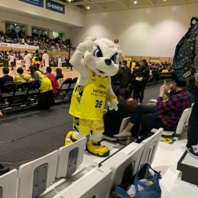 お腹いっぱい食べる飲む 風呂は心の洗濯 このアカウントはBリーグにどハマりしましたサンロッカーズ渋谷が好き💛🐻❄️