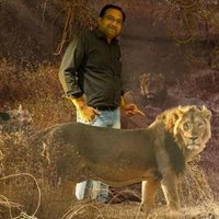 mmshah.1311@gmail.com (@1311mmshah) 's Twitter Profile