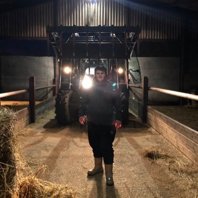 Otherwise known as 'B' or 'Bear' 😎 DW ❤️ Marley JRT 🐶 Somerset born and bred. S555EBB 🚗 Windscreen Technician by trade, Farmer by blood 🚜