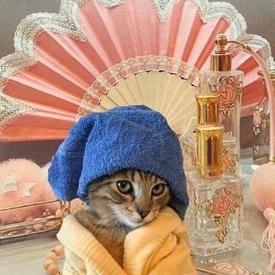 backup acc