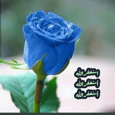 BRYtn6aEom9694n's profile picture. @