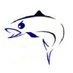 dp (@diporte) Twitter profile photo dp (@diporte) Twitter profile photo
