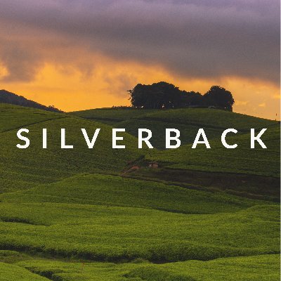 SilverbackTea Profile Picture