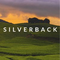 Silverback Tea (@silverbacktea) 's Twitter Profile Photo Silverback Tea (@silverbacktea) 's Twitter Profile Photo