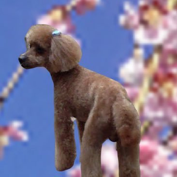 furupon2008's profile picture. 退職しました。高校教員 現在は非常勤、情報担当。 情報の先生はmixiやtwitterやってみないとといわれ始めたところです。facebookも・・・。3月の舞台が終わりました。見に来てくれた人たち、ありがとう。もと演劇部顧問。