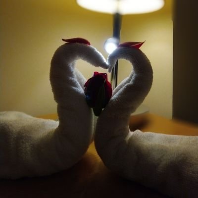 BossTamil1's profile picture. others