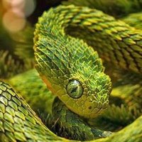 さの#2 (@sano_2) 's Twitter Profile