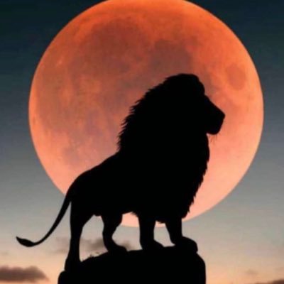 SalahLahh's profile picture. 