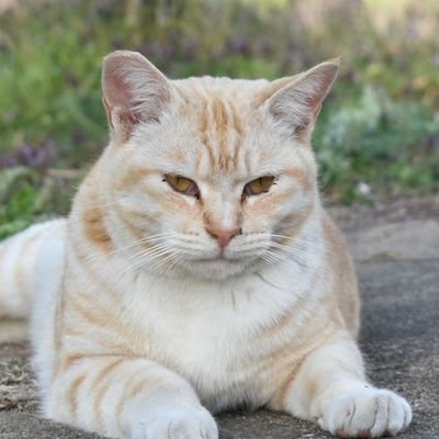 まるさんのプロフィール画像