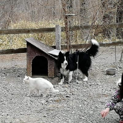 北海道の森の中で、心を込めて季節のタルトやヨーロッパ伝統菓子を焼いています。
販売方法は、通信販売の他、不定期に販売会も開催しています。
また、お菓子にまつわるお話し会も開催していますので、お気軽にご連絡下さい。
 #北海道  #パティスリージャンレイ #janrei  #釧路