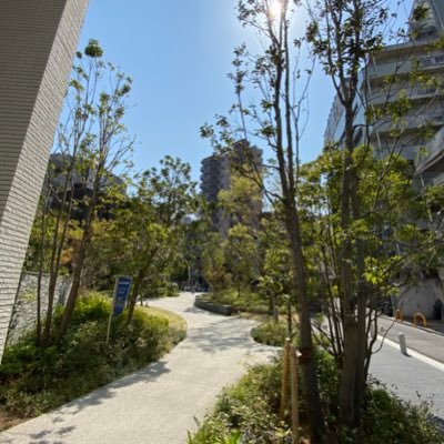 wmejgatgampW's profile picture. 