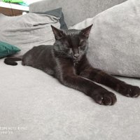 leffu33 (@whorzyk) 's Twitter Profile