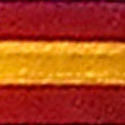 Cristobal_Oli's profile picture. Maestre de campo de Hernán Cortés. Profesional del Medio Ambiente, feliz de ser español y compartir cultura con todos mis hermanos de Hispanoamérica