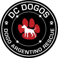 DC Dogos (@dcdogos) 's Twitter Profile