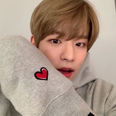 (RP/ENG) 스트레이키즈 댄디보이 김승민.
A guy who loves banana milk. People said intellectual so Kim Seungmin. This puppy doesn't bite, so please interact!🐶