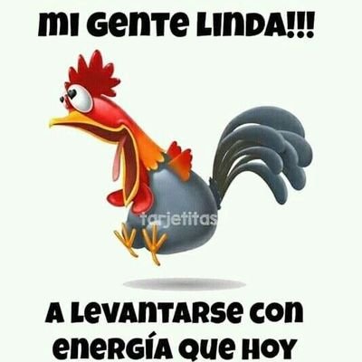 ElGallo05891864's profile picture. 