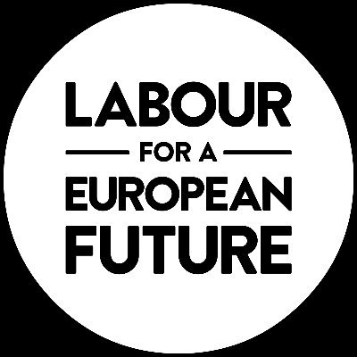 Labour for a European Future Profile