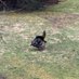 Pete Sandbeer (Dewydd) 🇺🇦 (@backyardturkey) Twitter profile photo Pete Sandbeer (Dewydd) 🇺🇦 (@backyardturkey) Twitter profile photo