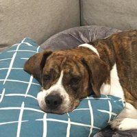 Katie Malenich (@mrsm_slms) 's Twitter Profile