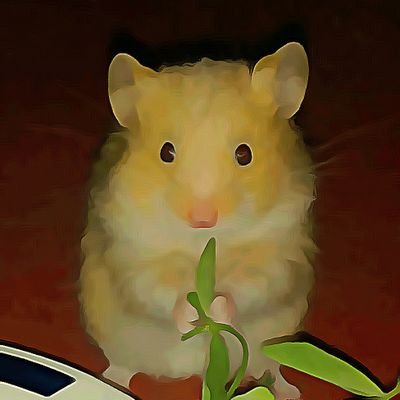 HSiriosLimaPeru's profile picture. 