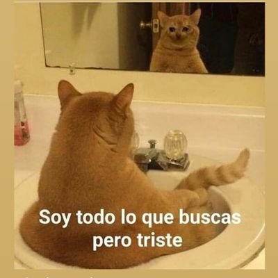 NahirRodri's profile picture. No soy Google, pero tengo todo lo que buscas bb