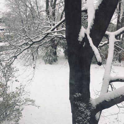 EternalNyx's profile picture. gen x goddess enjoying social distancing way too much. forever mad about hillary’s stolen election. biden’s my guy. ‘both sides’ is never the right answer.