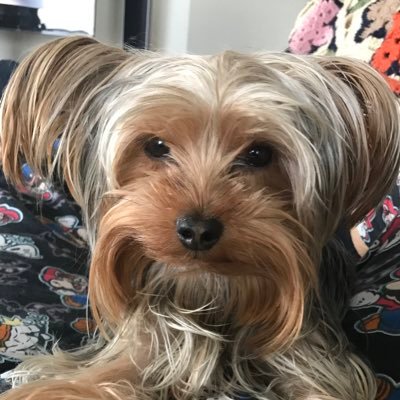 BaburMensah's profile picture. 